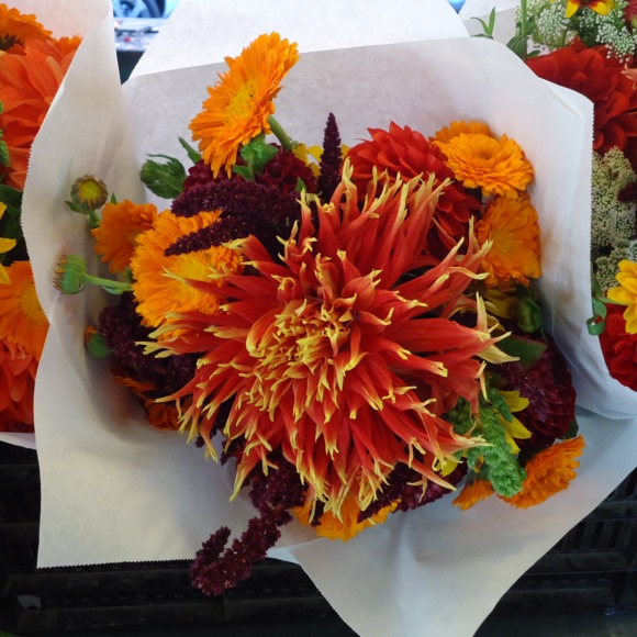 Meet your Posher, Dona - Picture 1 of 1